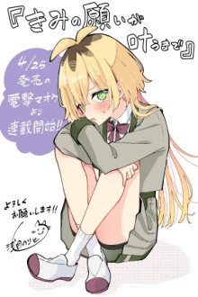KIMI NO NEGAI GA KANAU MADE