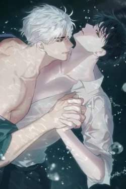 Entre Sueños y Sombras