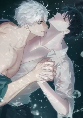 Entre Sueños y Sombras