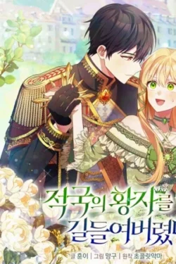 Domaré al Príncipe Enemigo