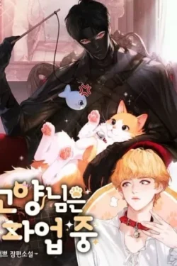 El gato está en huega